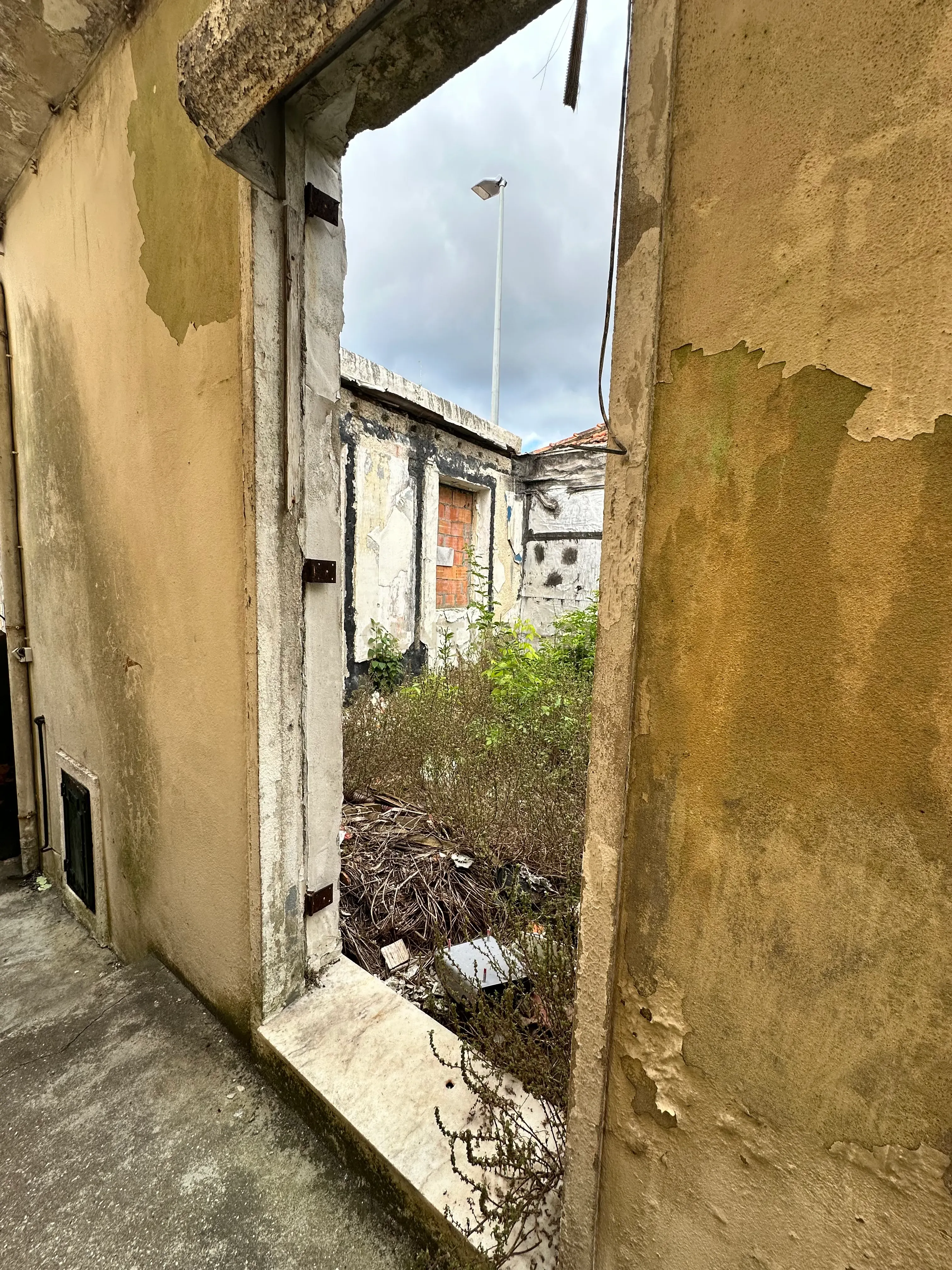 Moradia em ruína | Campo Alegre, Porto | Projeto aprovado - Image 20
