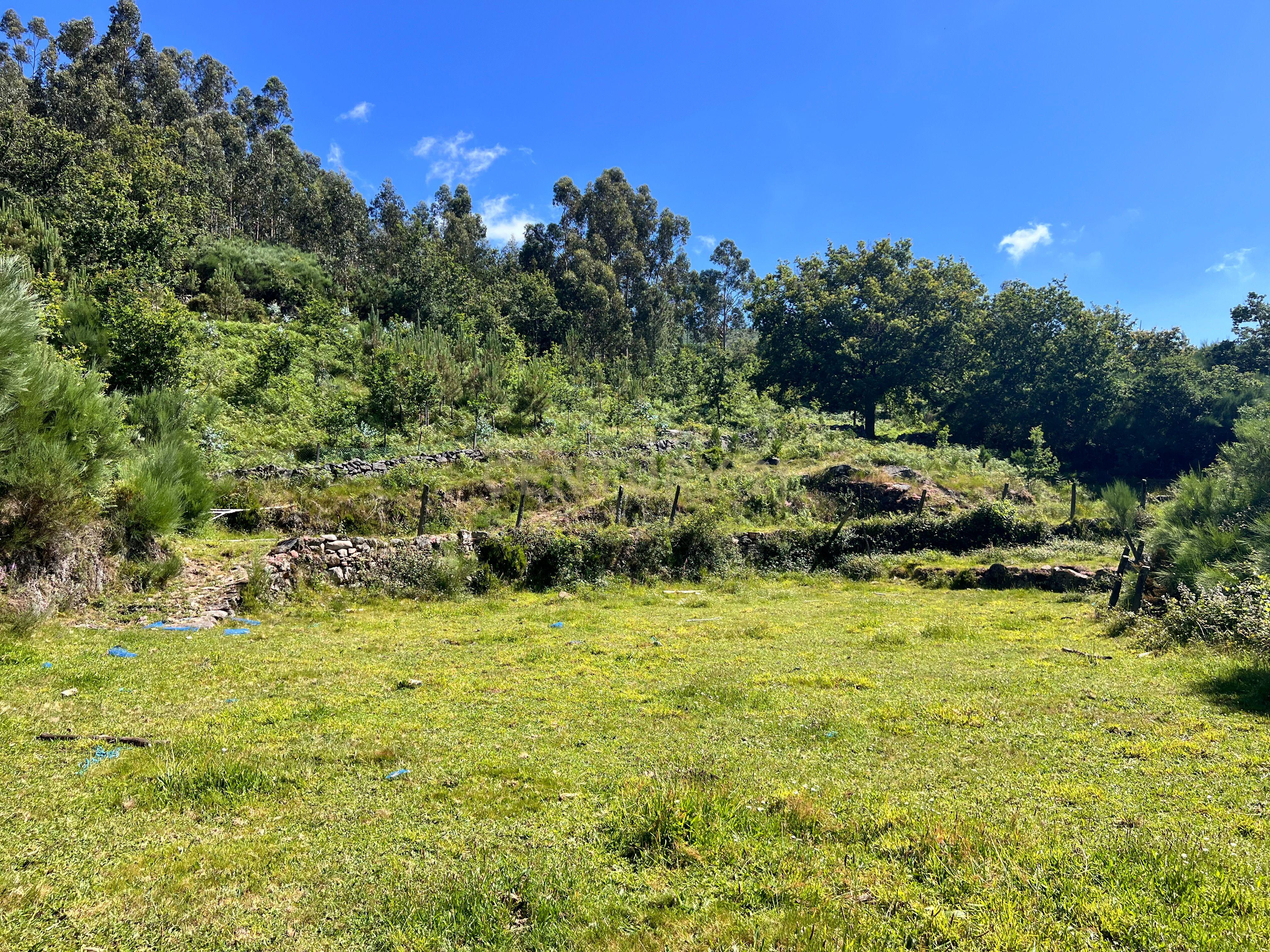 Terreno rústico em Manhouce, rodeado por uma ribeira, com possibilidade de construção de moradia. - Image 19