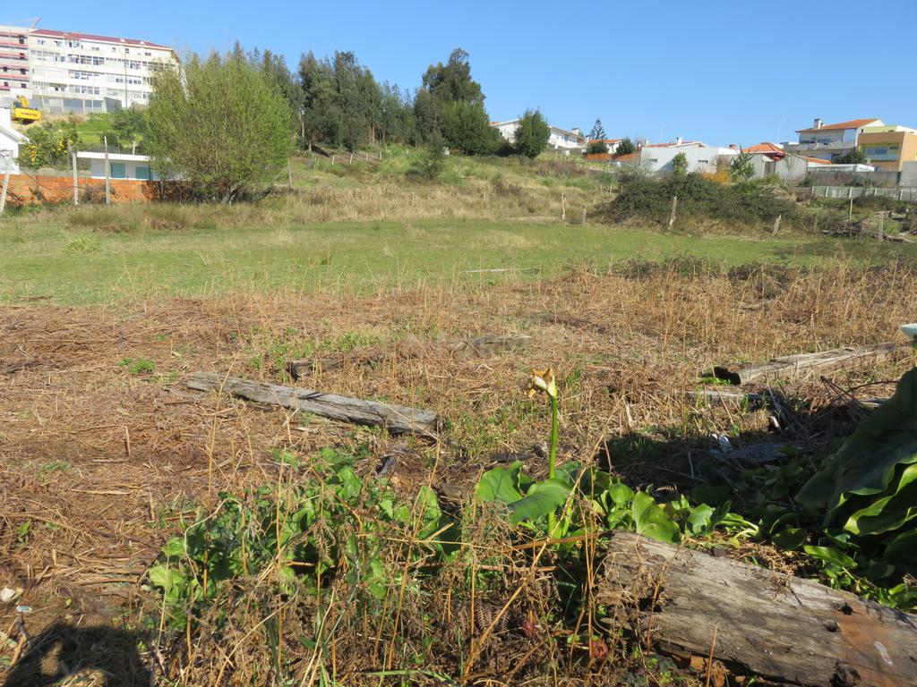 Terreno Urbano em Vila Nova de Gaia - 5901m² por 900.000€ - Image 9