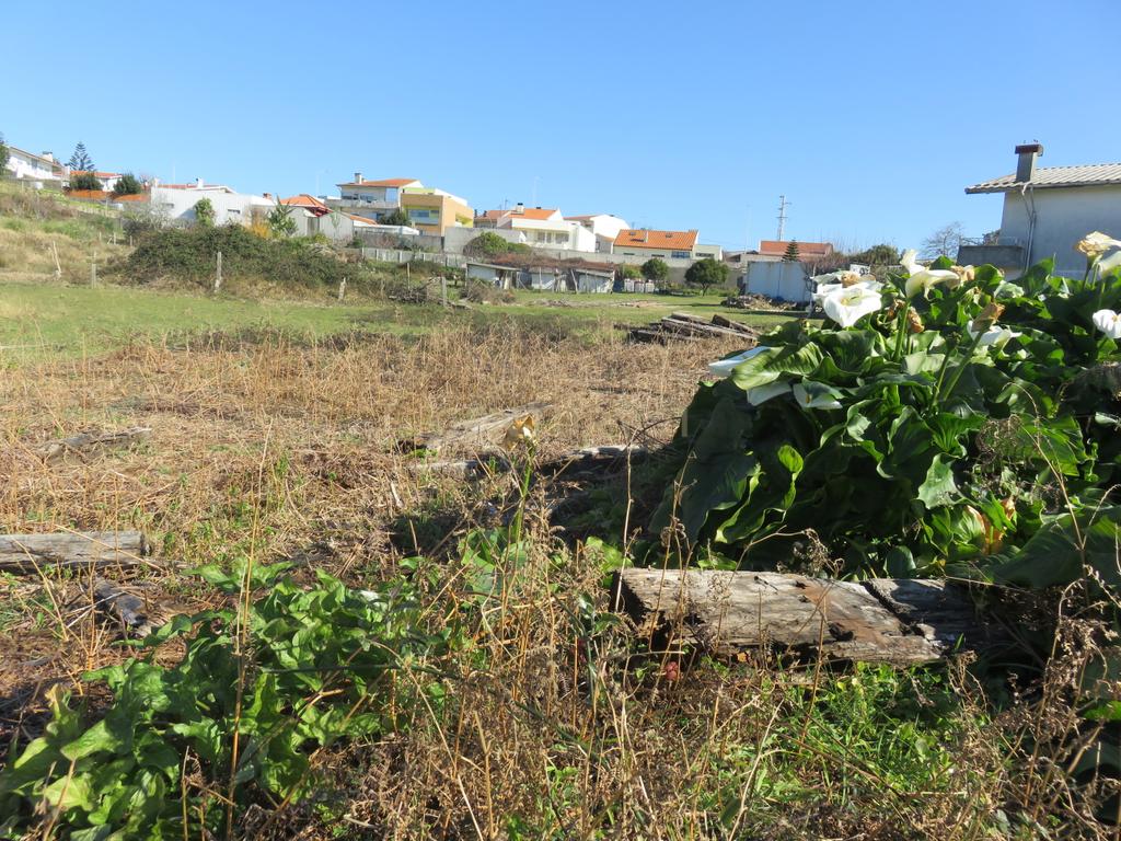 Terreno Urbano em Vila Nova de Gaia - 5901m² por 900.000€ - Image 10