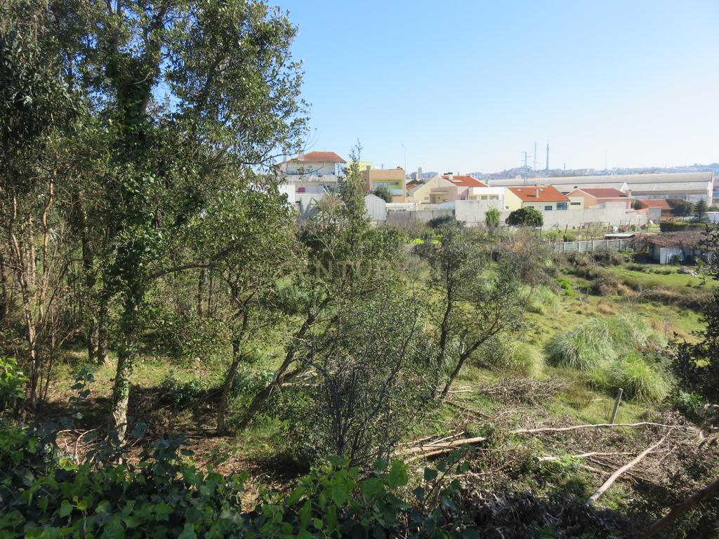 Terreno Urbano em Vila Nova de Gaia - 5901m² por 900.000€ - Image 12