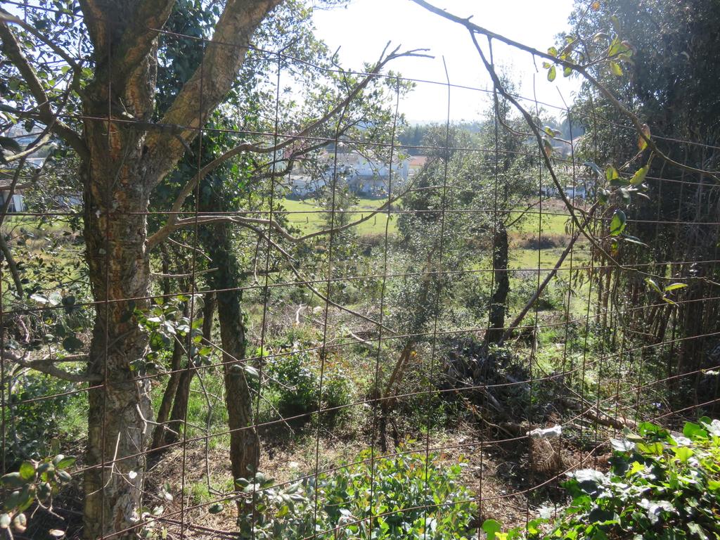 Terreno Urbano em Vila Nova de Gaia - 5901m² por 900.000€ - Image 14