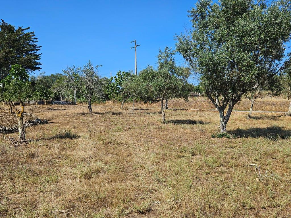 Lote de Terreno com Ruína em Montemor-o-Novo - Image 30