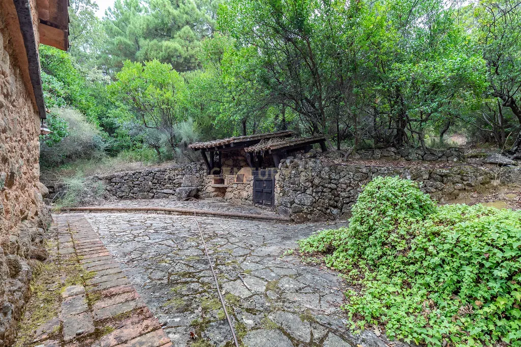 undefined - Image 124