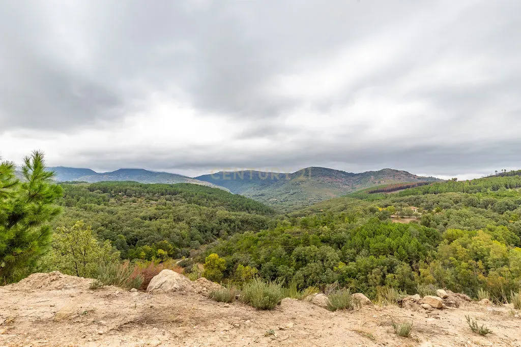 undefined - Image 128