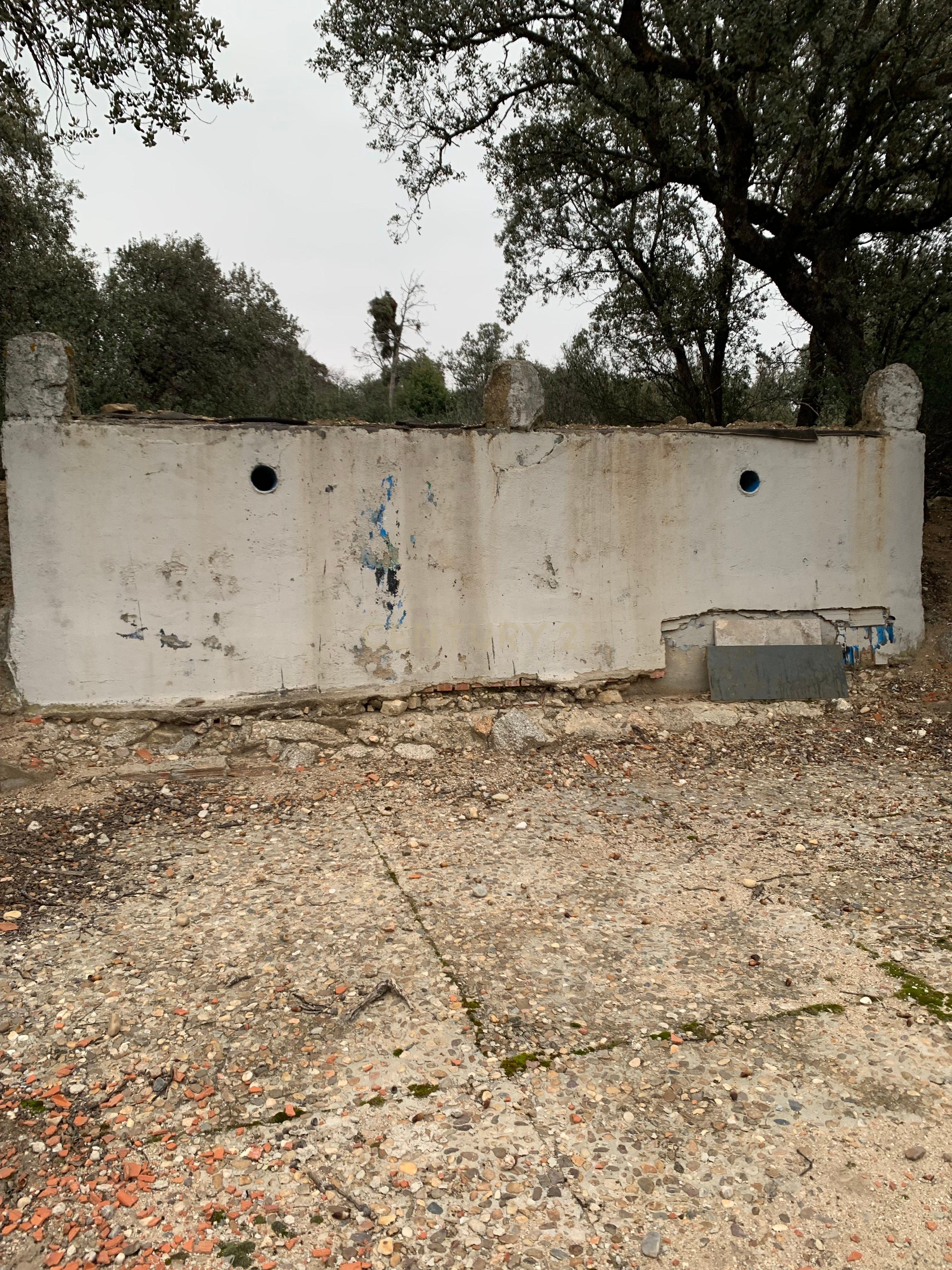 undefined - Image 82