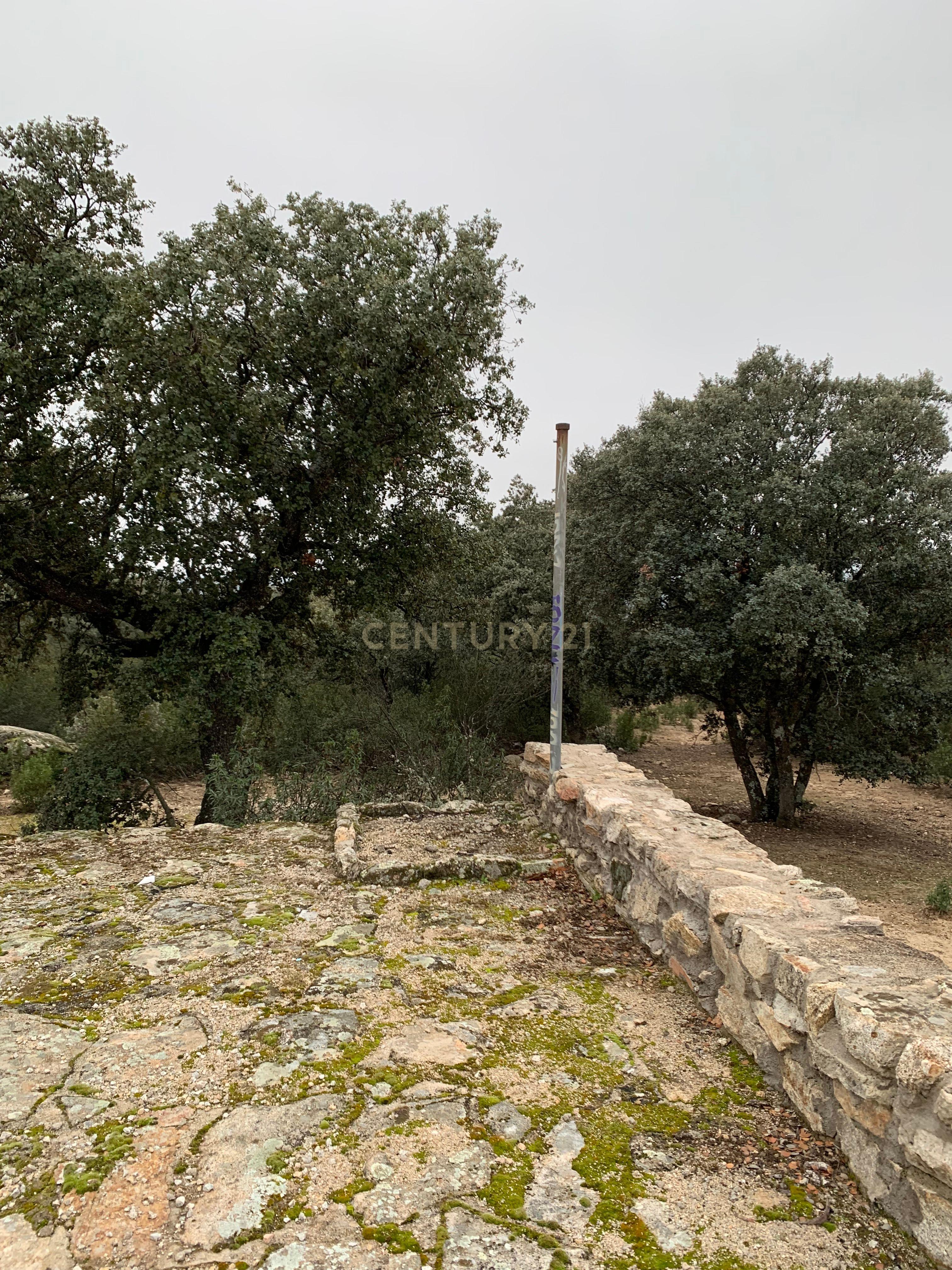 undefined - Image 83