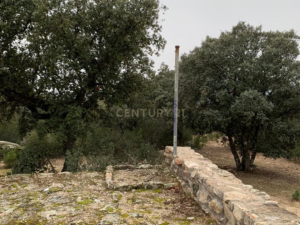 undefined - Image 83