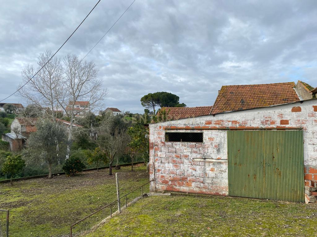 Moradia em Ruina T2, 1WC e Casa R/C com Lagar e Adega com Logradouro em S. Vicente de Paul - Santarém - Image 6