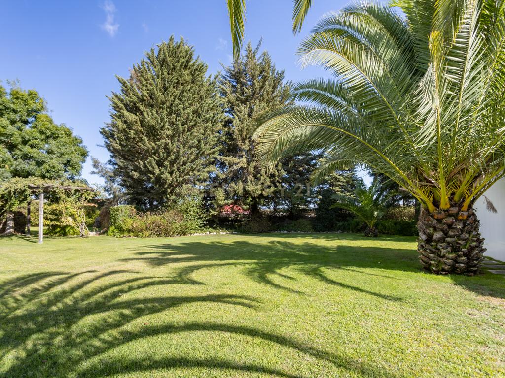 QUINTA DO POCEIRÃO - 2 MORADIAS - GARAGENS - PISCINA - ANEXOS - PALMELA - Image 4