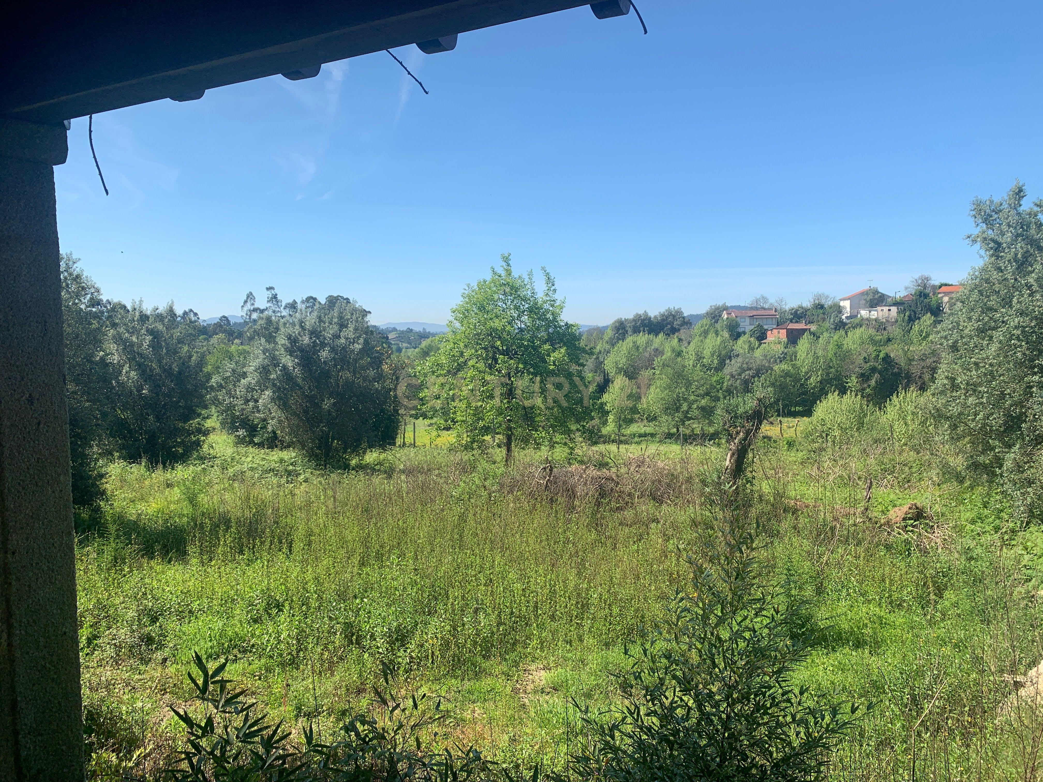 Quinta em pico de Regalados, vila verde com Casa smi restaurada - Image 32