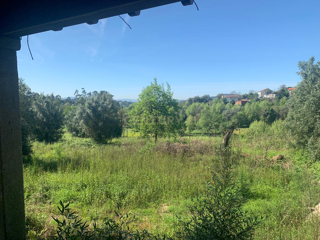 Quinta em pico de Regalados, vila verde com Casa smi restaurada - Image 32