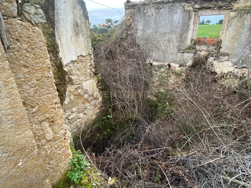 Moradia em Ruina T2, 1WC e Casa R/C com Lagar e Adega com Logradouro em S. Vicente de Paul - Santarém - Image 17