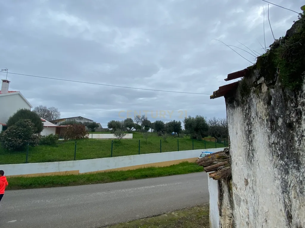 Moradia em Ruina T2, 1WC e Casa R/C com Lagar e Adega com Logradouro em S. Vicente de Paul - Santarém - Image 18