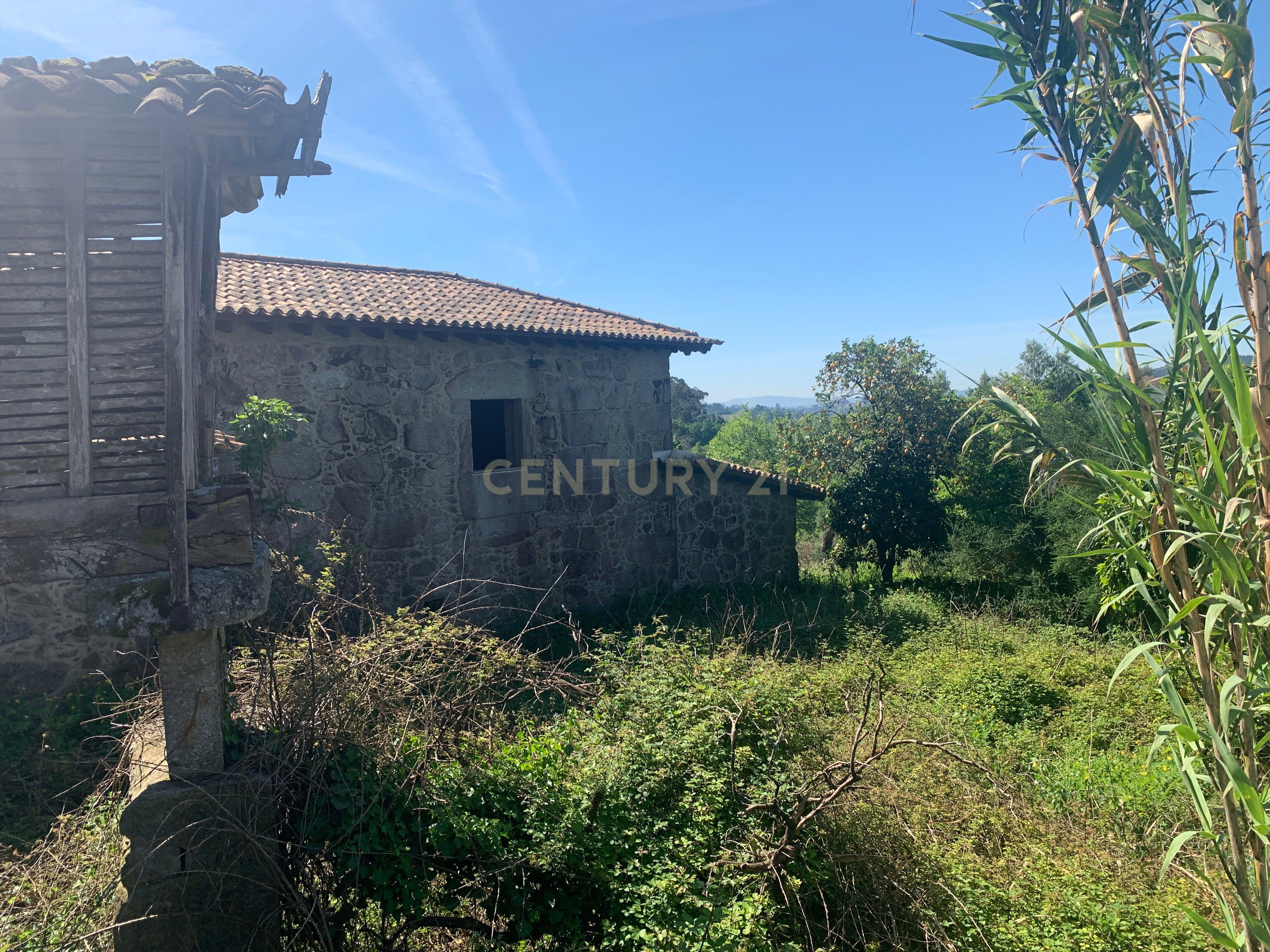 Quinta em pico de Regalados, vila verde com Casa smi restaurada - Image 22