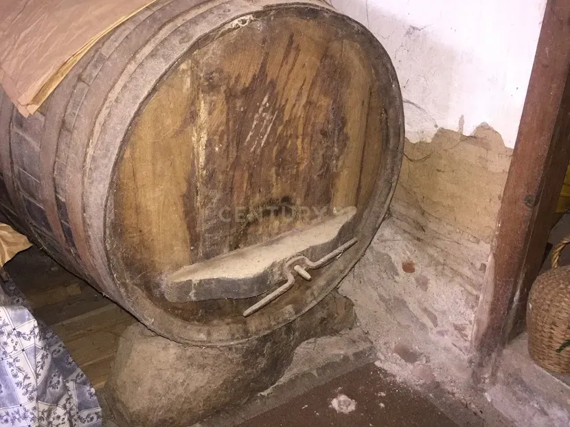 Moradia, Celeiro e Adega em Vilarelhos - Alfândega da Fé - Image 29