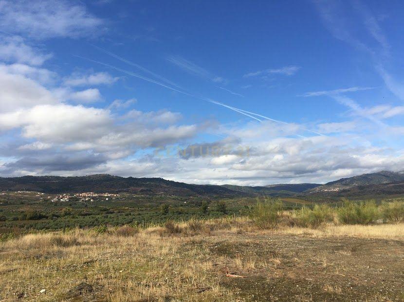 Moradia, Celeiro e Adega em Vilarelhos - Alfândega da Fé - Image 35