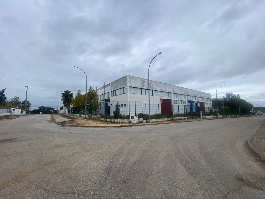 Armazém 1545m2 Ermidas do Sado - Image 29