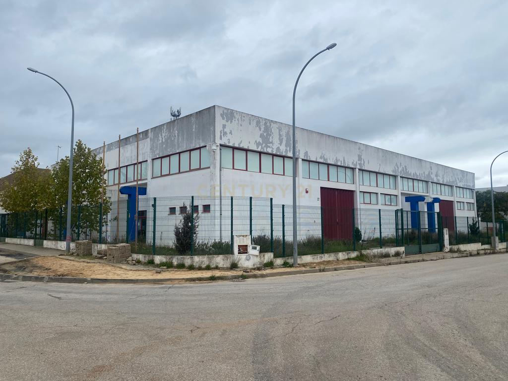 Armazém 1545m2 Ermidas do Sado - Image 1