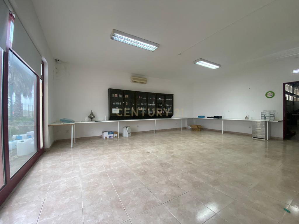 Armazém 1545m2 Ermidas do Sado - Image 13