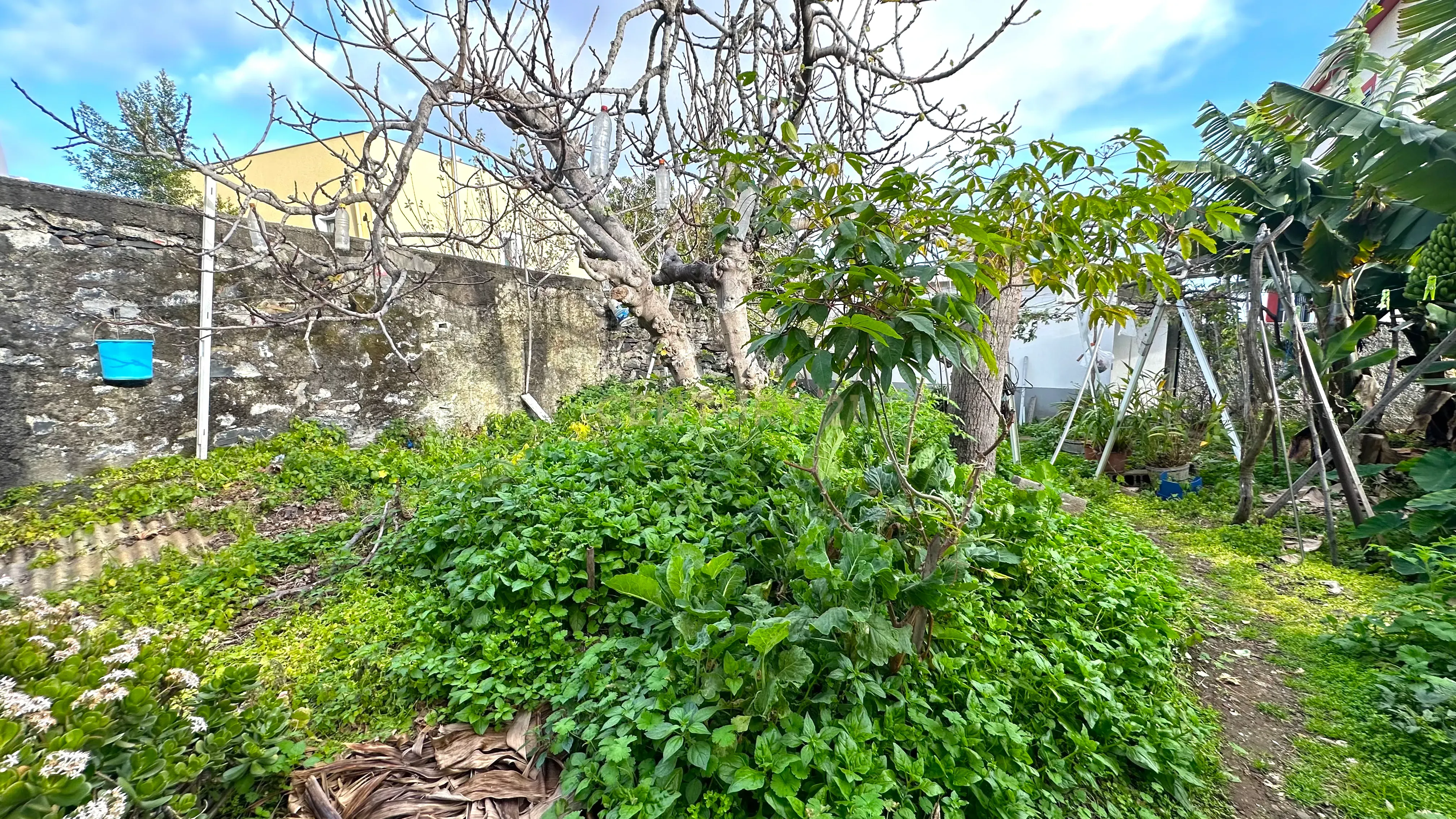 Moradia T3 - Funchal - Image 23