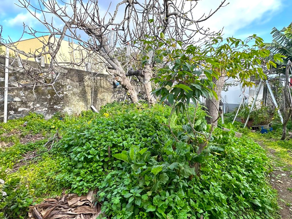 Moradia T3 - Funchal - Image 23