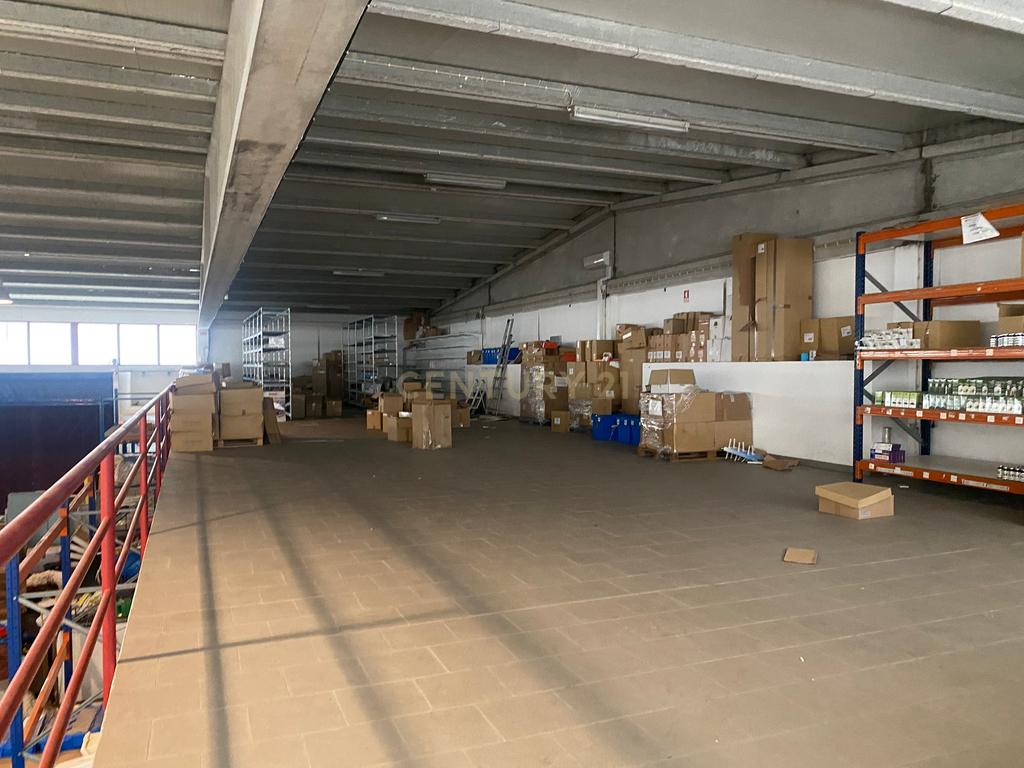 Armazém 1545m2 Ermidas do Sado - Image 17