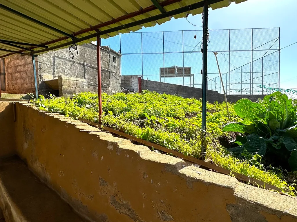 VENDE-SE | 2 CASAS + 1 TERRENO | CANDELÁRIA, RIBEIRA BRAVA - Image 25