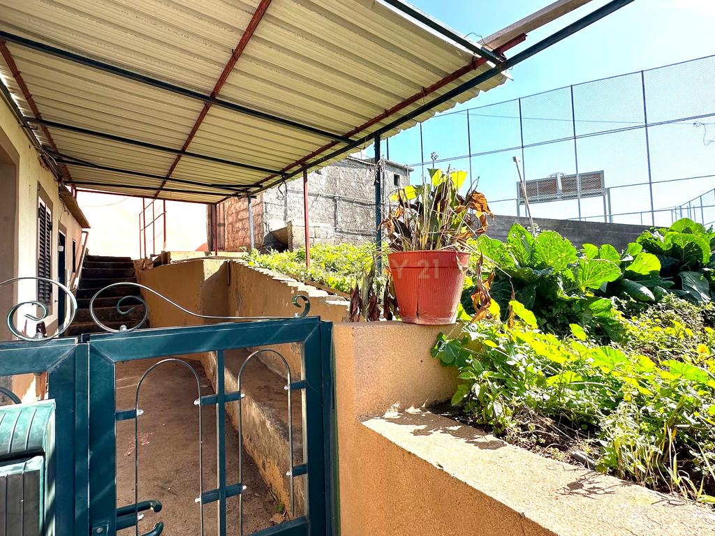 VENDE-SE | 2 CASAS + 1 TERRENO | CANDELÁRIA, RIBEIRA BRAVA - Image 27