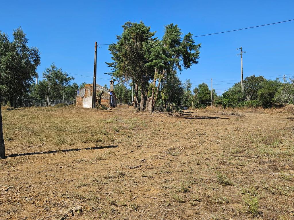 Lote de Terreno com Ruína em Montemor-o-Novo - Image 31