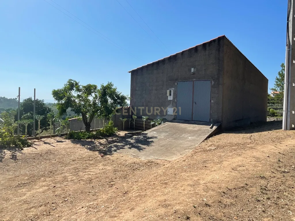 Terreno em Casal da Figueira, Martinchel - Image 11