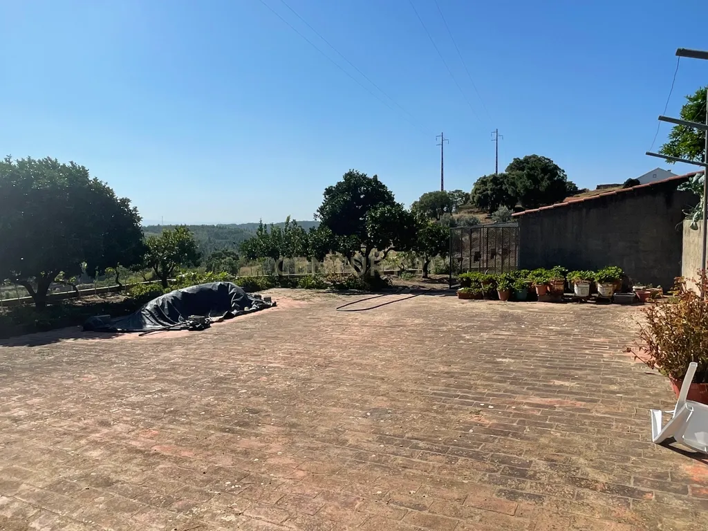 Terreno em Casal da Figueira, Martinchel - Image 31