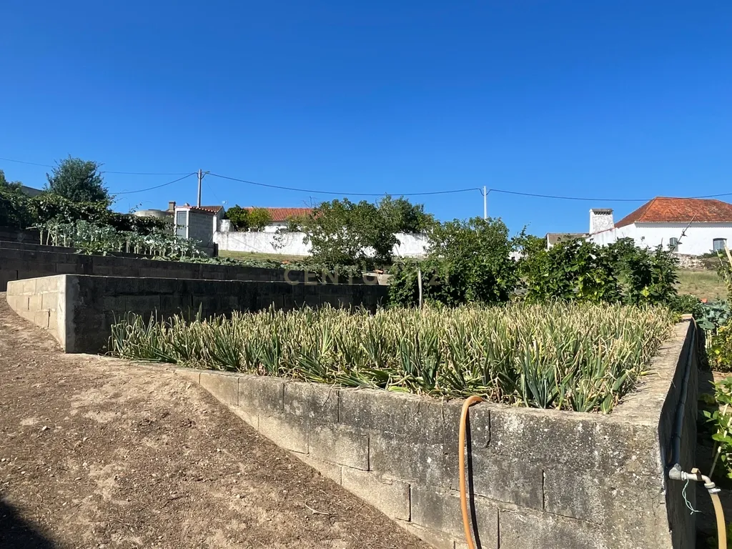 Terreno em Casal da Figueira, Martinchel - Image 14