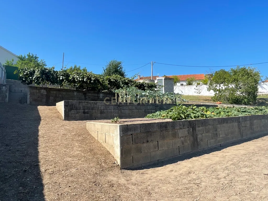 Terreno em Casal da Figueira, Martinchel - Image 12