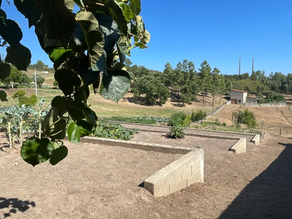 Terreno em Casal da Figueira, Martinchel - Image 20