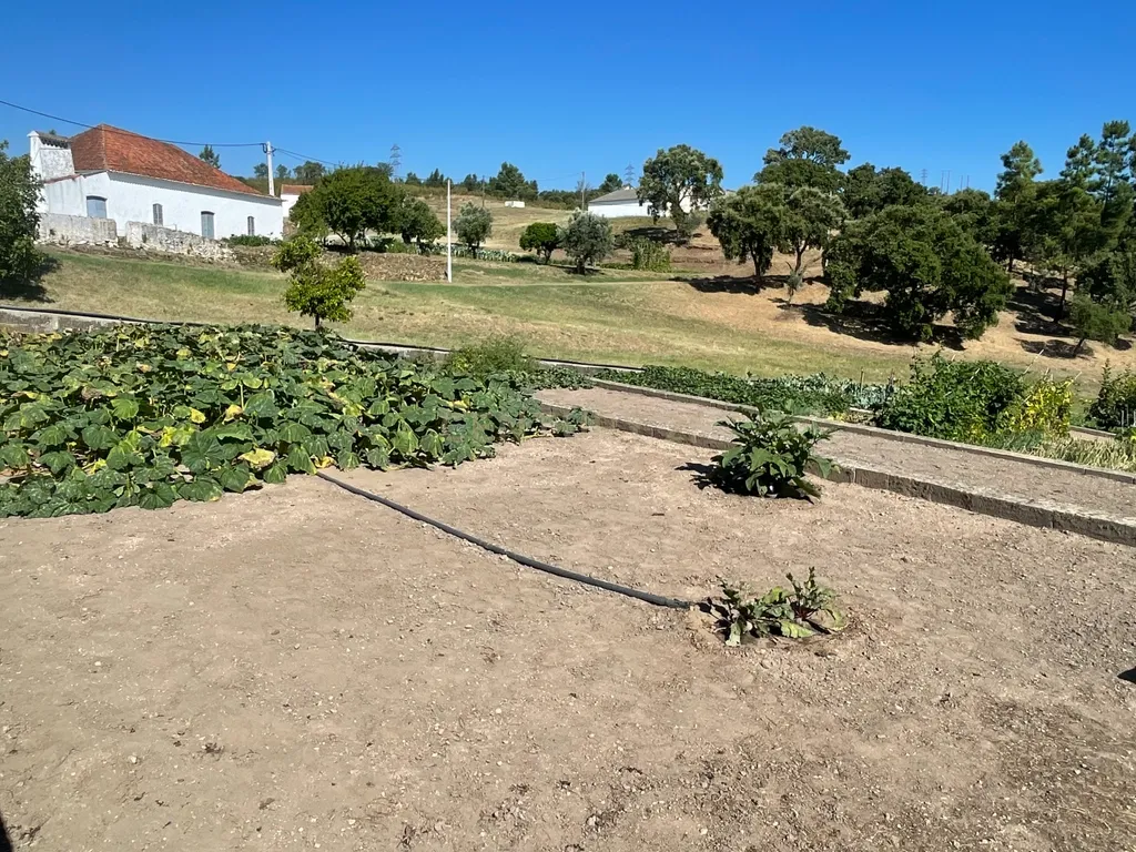 Terreno em Casal da Figueira, Martinchel - Image 19