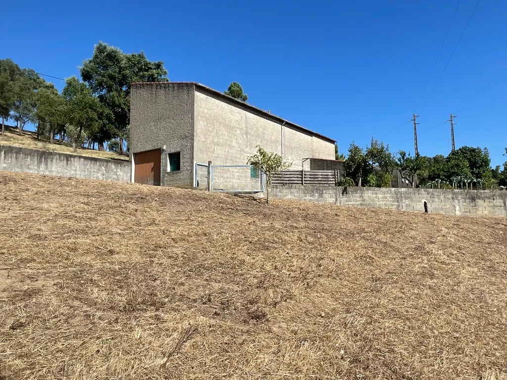 Terreno em Casal da Figueira, Martinchel - Image 8