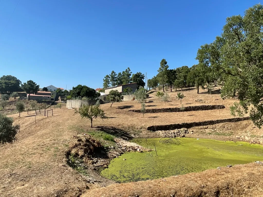 Terreno em Casal da Figueira, Martinchel - Image 1