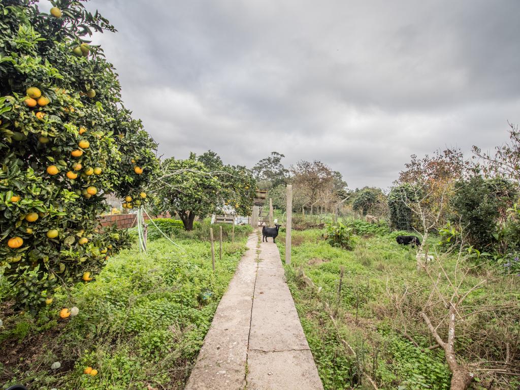 Moradia T8 com piso térreo adaptado, pátio interior, churrasqueira, jardim e horta no Paião, Figueira da Foz - Image 29