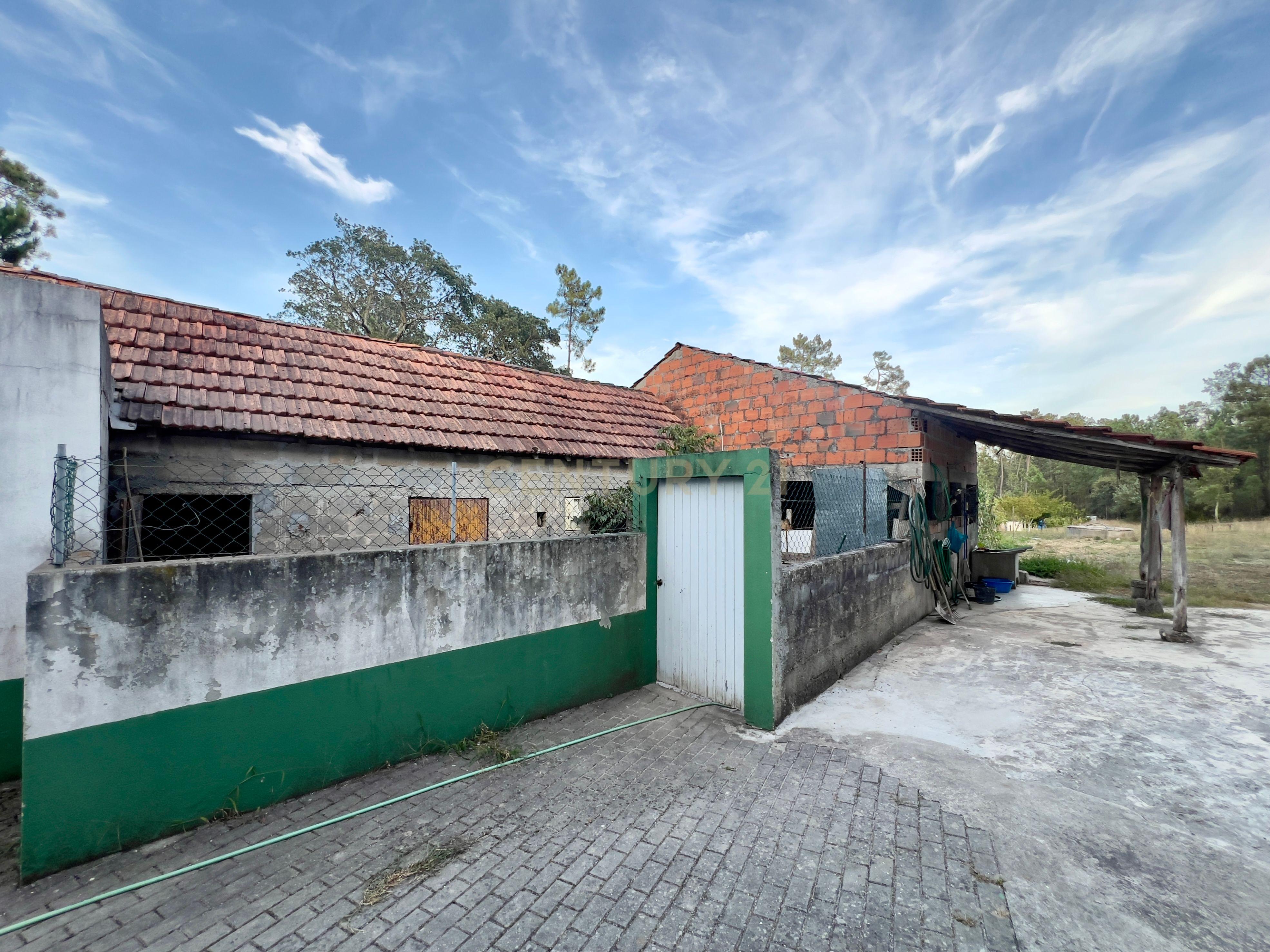 Casa em Casal Barril, Soure || Dois apartamentos Independentes  - Image 25