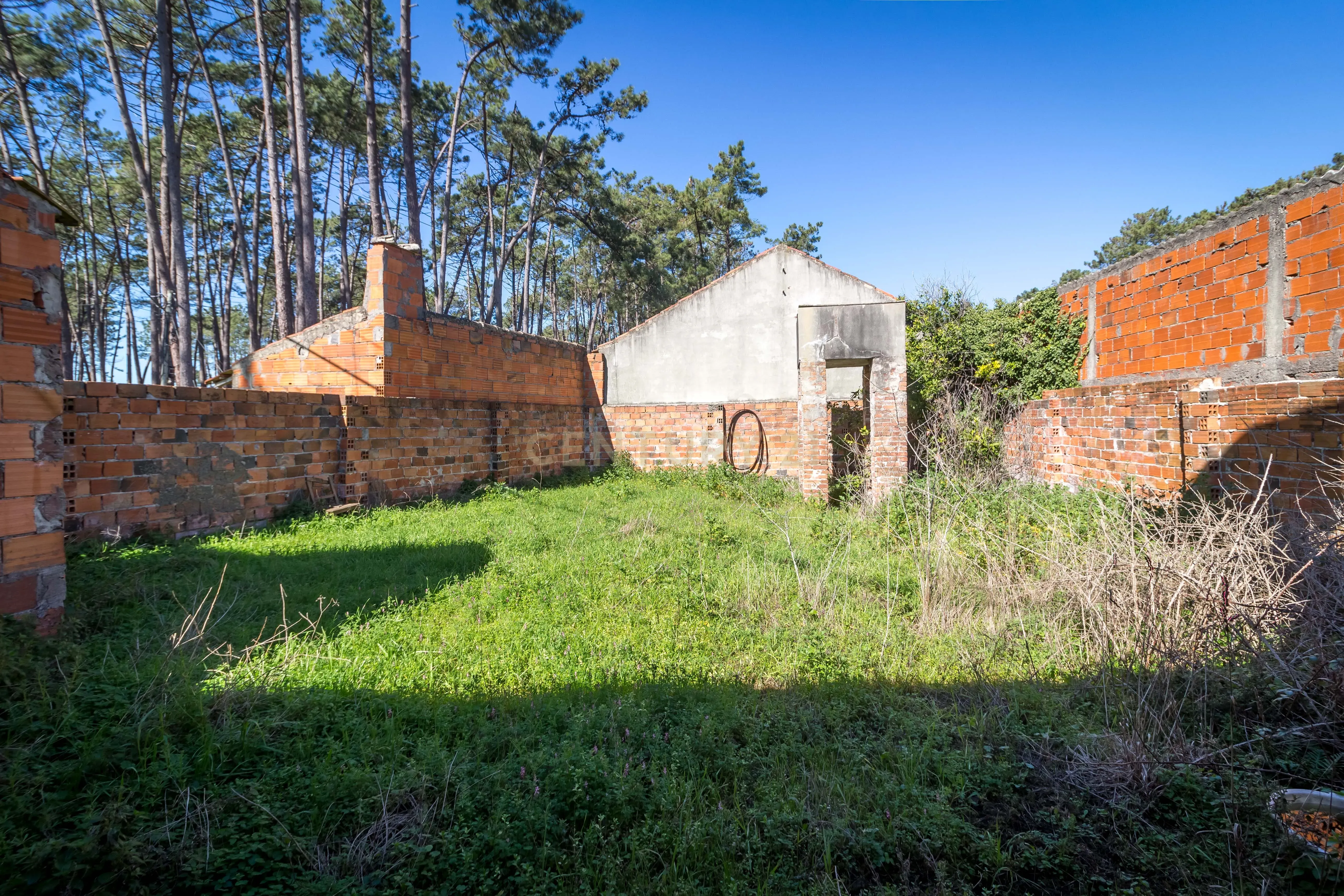 Armazem com opção de construção Moradia - Image 2