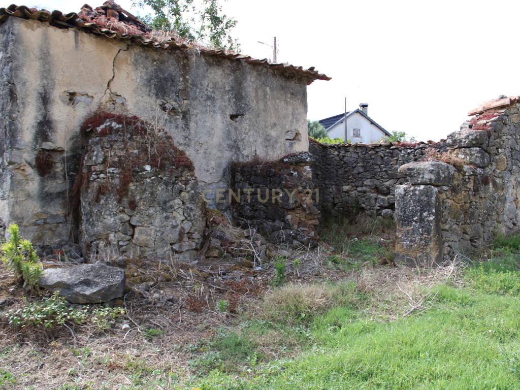 Moradia em Pedra para reabilitar. Pombal - Image 5