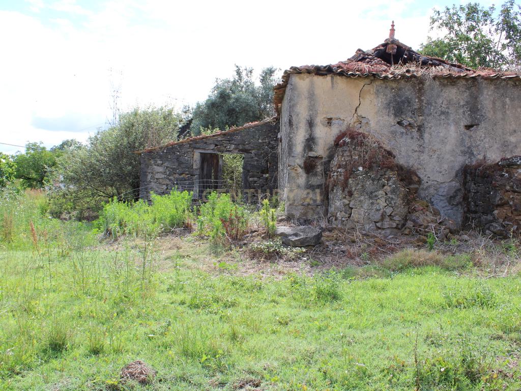 Moradia em Pedra para reabilitar. Pombal - Image 7