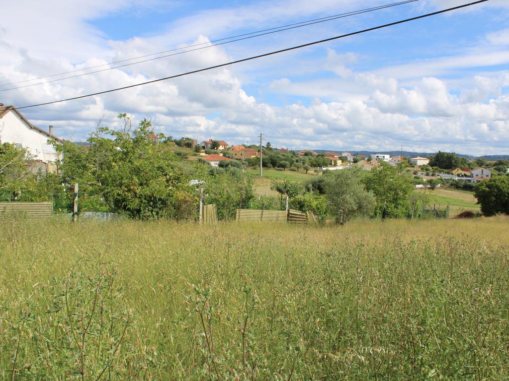 Moradia em Pedra para reabilitar. Pombal - Image 2