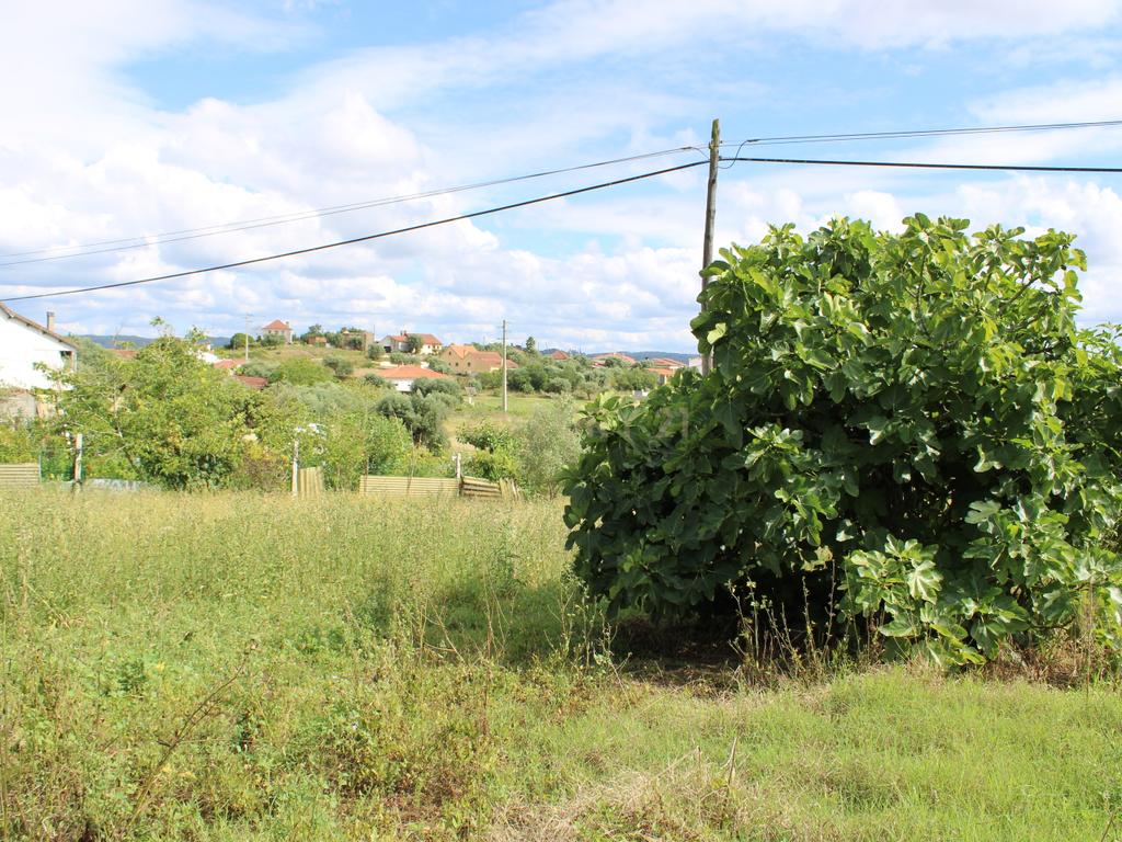 Moradia em Pedra para reabilitar. Pombal - Image 4