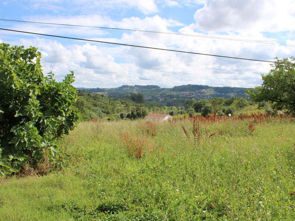 Moradia em Pedra para reabilitar. Pombal - Image 14