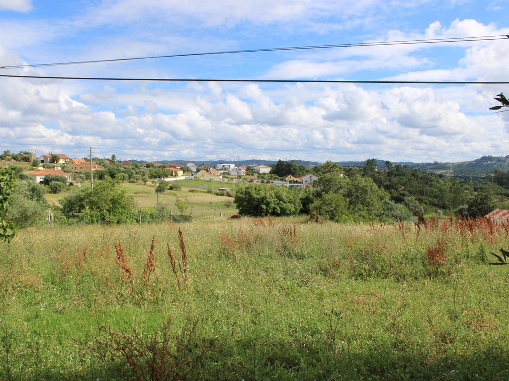 Moradia em Pedra para reabilitar. Pombal - Image 17