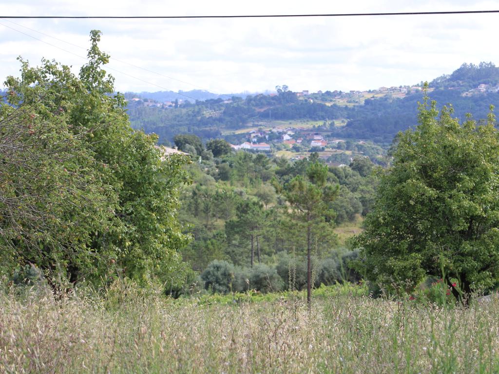 Moradia em Pedra para reabilitar. Pombal - Image 20