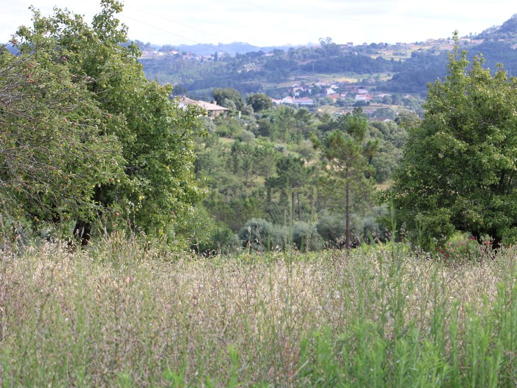 Moradia em Pedra para reabilitar. Pombal - Image 25