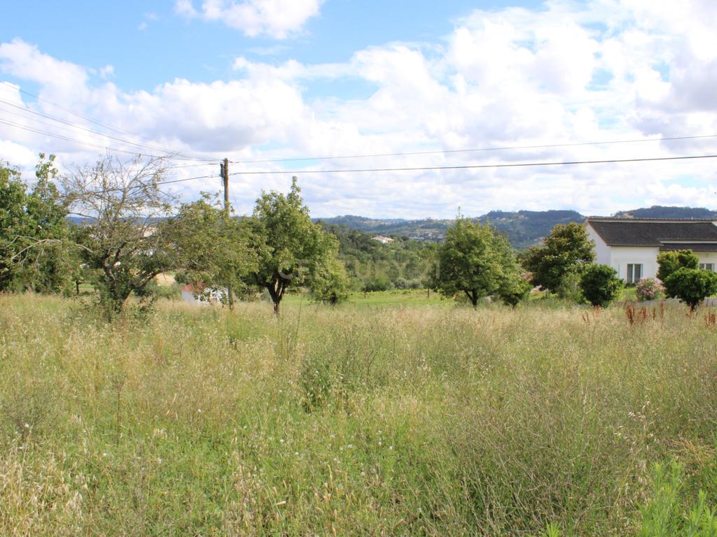 Moradia em Pedra para reabilitar. Pombal - Image 23